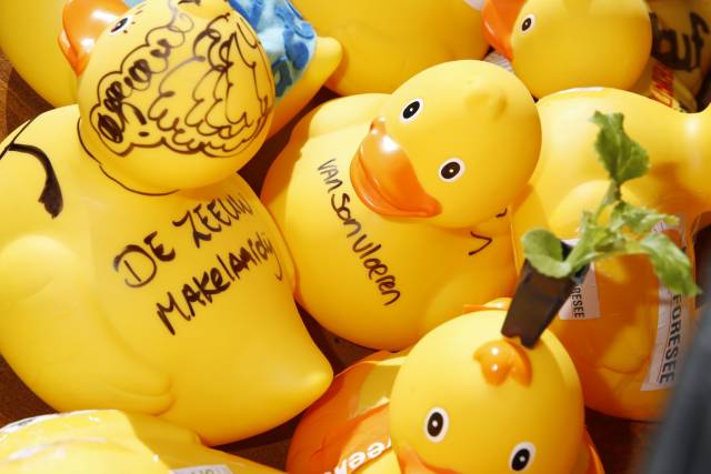 duckrace-2017-338 - Afbeelding 8 van 15