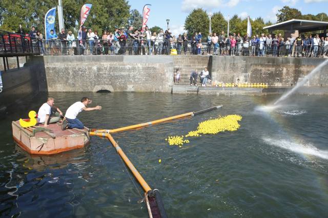 duckrace-2017-346 - Afbeelding 15 van 15