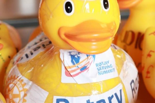duckrace-2018-424 - Afbeelding 3 van 77