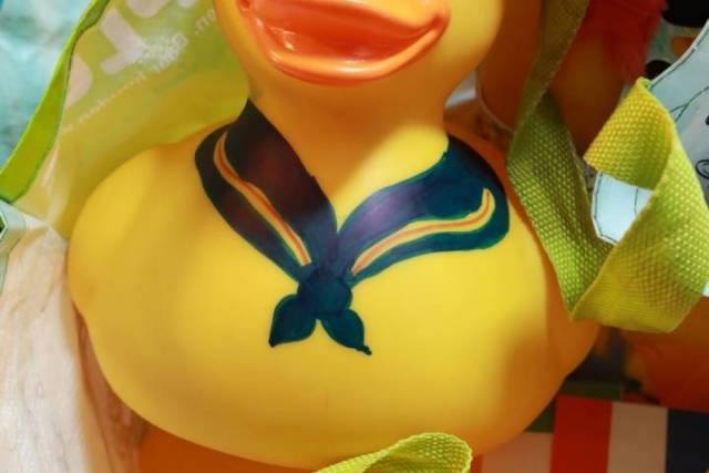 duckrace-2018-425 - Afbeelding 4 van 77