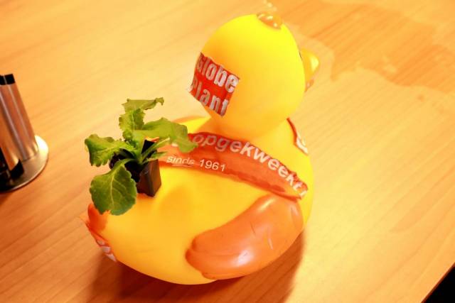 duckrace-2018-428 - Afbeelding 7 van 77