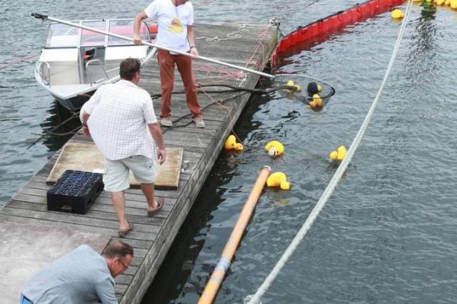 duckrace-2018-489 - Afbeelding 67 van 77