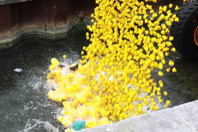 duckrace-2018-491 - Afbeelding 69 van 77
