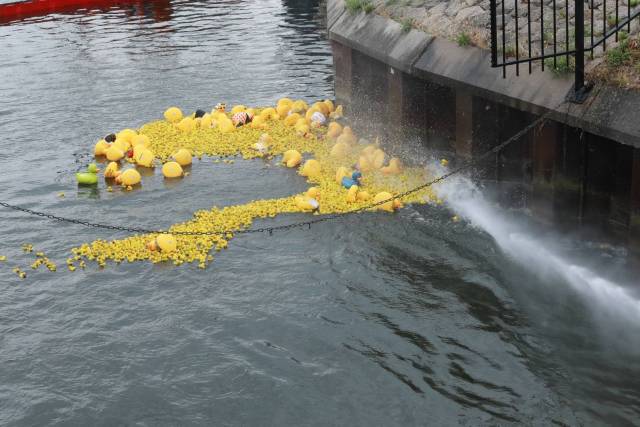 duckrace-2018-492 - Afbeelding 70 van 77