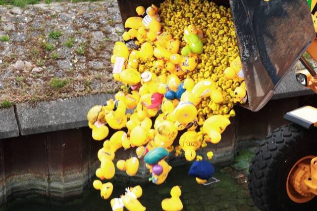 duckrace-2018-493 - Afbeelding 71 van 77