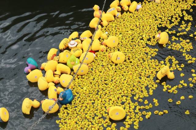 duckrace-2018-495 - Afbeelding 73 van 77