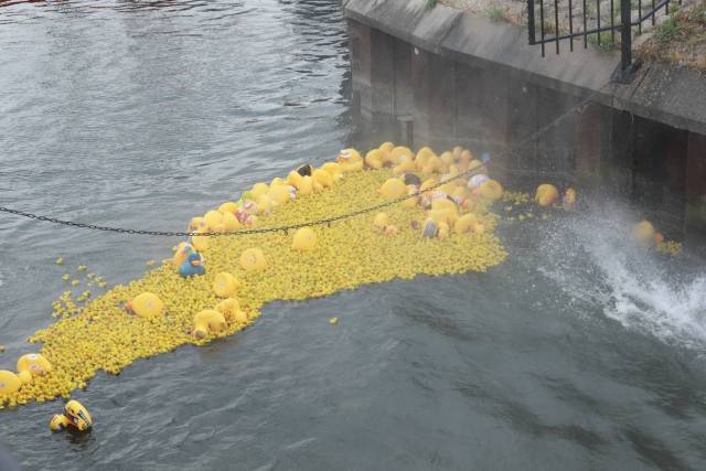 duckrace-2018-496 - Afbeelding 74 van 77